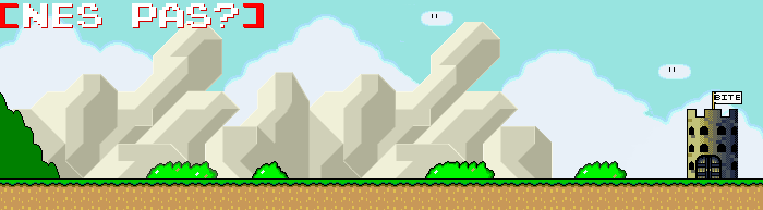 [ NES Pas ? ]